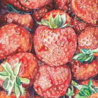Strawberry 13x20cm Ecolina